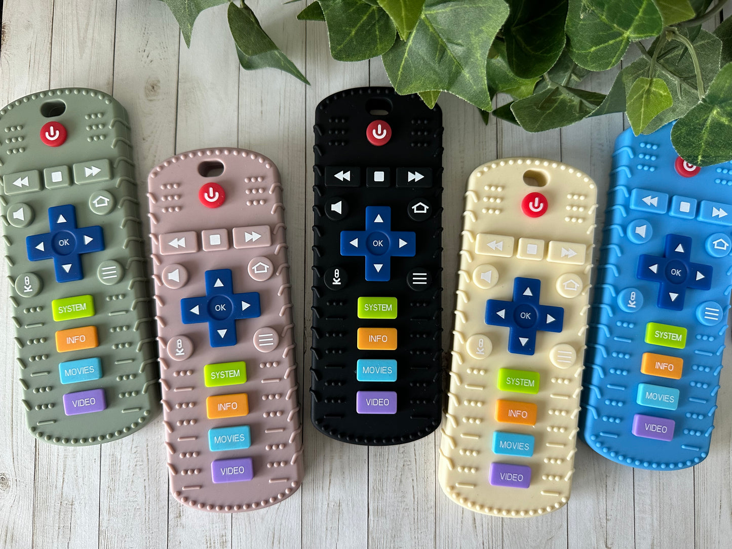 TV Remote Teether