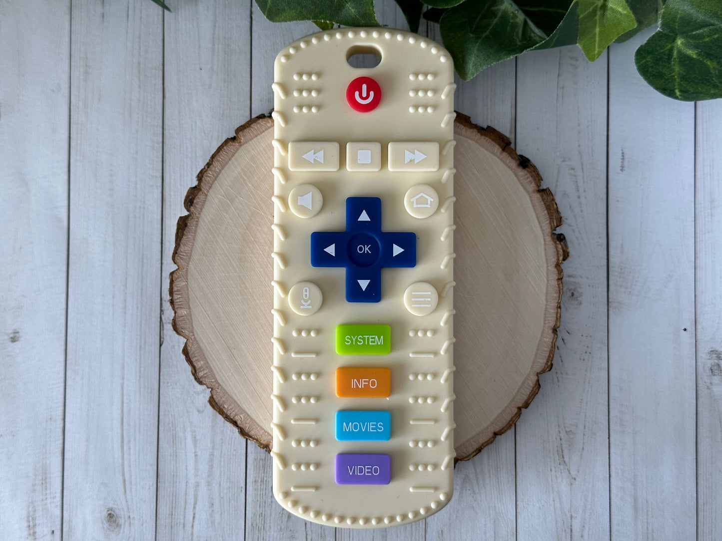 TV Remote Teether